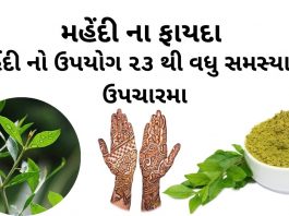 મહેંદી ના ફાયદા - મહેંદી નો ઉપયોગ - mehndi na fayda - mehndi no upyog
