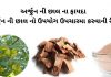 અર્જુન ની છાલ ના ફાયદા - અર્જુન ની છાલ નો ઉપયોગ - arjun chhal na fayda - arjun chhal no upyog