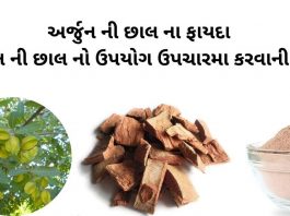 અર્જુન ની છાલ ના ફાયદા - અર્જુન ની છાલ નો ઉપયોગ - arjun chhal na fayda - arjun chhal no upyog