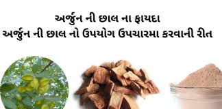 અર્જુન ની છાલ ના ફાયદા - અર્જુન ની છાલ નો ઉપયોગ - arjun chhal na fayda - arjun chhal no upyog