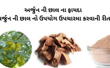 અર્જુન ની છાલ ના ફાયદા - અર્જુન ની છાલ નો ઉપયોગ - arjun chhal na fayda - arjun chhal no upyog