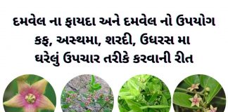 દમવેલ નો ઉપયોગ - દમવેલ ના ફાયદા - damvel na fayda - damvel no upyog in gujarati