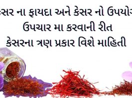 કેસર ના ફાયદા - kesar na fayda - કેસર નો ઉપયોગ - kesar no upyog - કેસર ના પ્રકાર