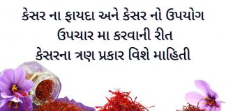 કેસર ના ફાયદા - kesar na fayda - કેસર નો ઉપયોગ - kesar no upyog - કેસર ના પ્રકાર