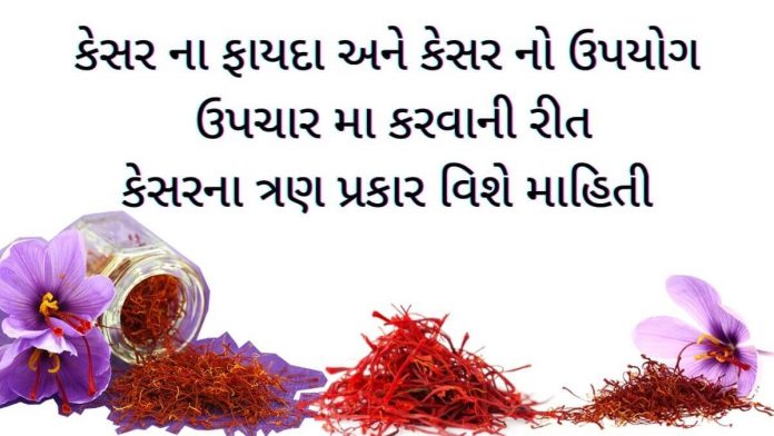 કેસર ના ફાયદા - kesar na fayda - કેસર નો ઉપયોગ - kesar no upyog - કેસર ના પ્રકાર