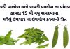 પાપડી વાલોળ ના ફાયદા - વાલોળ પાપડી ના ફાયદા - papdi valor na fayda - valor papdi na fayda - valor papdi benefits in gujarati