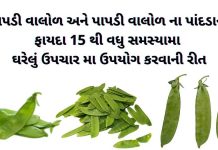 પાપડી વાલોળ ના ફાયદા | વાલોળ પાપડી ના ફાયદા | papdi valor na fayda | valor papdi benefits in gujarati પાપડી વાલોળ ના ફાયદા - વાલોળ પાપડી ના ફાયદા - papdi valor na fayda - valor papdi na fayda - valor papdi benefits in gujarati