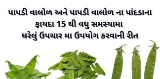 પાપડી વાલોળ ના ફાયદા - વાલોળ પાપડી ના ફાયદા - papdi valor na fayda - valor papdi na fayda - valor papdi benefits in gujarati
