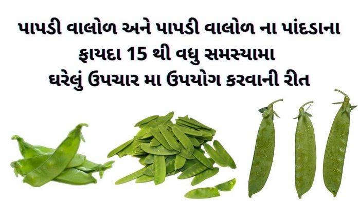 પાપડી વાલોળ ના ફાયદા - વાલોળ પાપડી ના ફાયદા - papdi valor na fayda - valor papdi na fayda - valor papdi benefits in gujarati