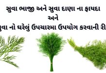 સુવા ના ફાયદા - સુવા ના પાંદડા ના ફાયદા - ,સુવાદાણા સુવા દાણા ના ફાયદા - સુવા ભાજી ના ફાયદા - suva ni bhaji na fayda - suva bhaji na bij na fayda gujarati ma - dill benefits in gujarati.