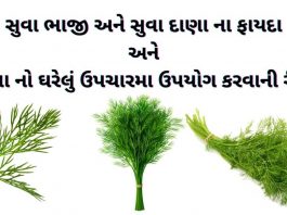 સુવા ના ફાયદા - સુવા ના પાંદડા ના ફાયદા - ,સુવાદાણા સુવા દાણા ના ફાયદા - સુવા ભાજી ના ફાયદા - suva ni bhaji na fayda - suva bhaji na bij na fayda gujarati ma - dill benefits in gujarati.