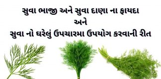 સુવા ના ફાયદા - સુવા ના પાંદડા ના ફાયદા - ,સુવાદાણા સુવા દાણા ના ફાયદા - સુવા ભાજી ના ફાયદા - suva ni bhaji na fayda - suva bhaji na bij na fayda gujarati ma - dill benefits in gujarati.