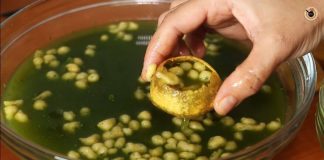 પાણીપુરી નું પાણી બનાવવાની રીત | panipuri nu pani recipe in gujarati પાણીપુરી નું પાણી બનાવવાની રીત - પાણીપુરી પાણી બનાવવાની રીત - panipuri nu pani recipe in gujarati - panipuri pani recipe in gujarati - pani puri nu pani banavani rit