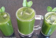 ફુદીનાનું શરબત બનાવવાની રીત - fudina nu sharbat banavani rit gujarati ma - fudina nu sharbat recipe in gujarati - ફુદીના નો શરબત બનાવવાની રીત - fudina no sharbat banavani rit