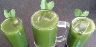 ફુદીનાનું શરબત બનાવવાની રીત - fudina nu sharbat banavani rit gujarati ma - fudina nu sharbat recipe in gujarati - ફુદીના નો શરબત બનાવવાની રીત - fudina no sharbat banavani rit