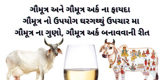 ગૌમૂત્ર ના ફાયદા ઓ - ગૌમૂત્ર અર્ક ના ફાયદા - ગોમૂત્ર ના ફાયદા - gomutra na fayda - gomutra benefits in gujarati - ગૌમૂત્ર અર્ક બનાવવાની રીત - ગૌમૂત્ર વિશે માહિતી