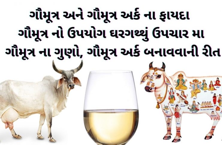 ગૌમૂત્ર ના ફાયદા ઓ - ગૌમૂત્ર અર્ક ના ફાયદા - ગોમૂત્ર ના ફાયદા - gomutra na fayda - gomutra benefits in gujarati - ગૌમૂત્ર અર્ક બનાવવાની રીત - ગૌમૂત્ર વિશે માહિતી