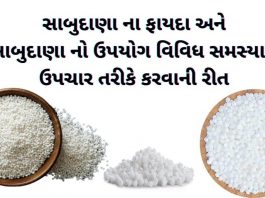 સાબુદાણા ના ફાયદા - સાબુદાણા ખાવાના ફાયદા - sabudana na fayda - sabudana no upyog - સાબુદાણા નો ઉપયોગ