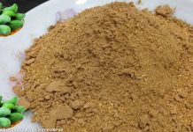 આમચૂર પાવડર - આમચૂર પાવડર બનાવવાની રીત - amchur powder banavani rit - amchoor powder banavani rit - amchur powder recipe in gujarati