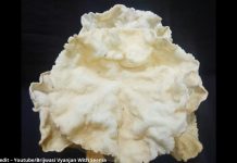 ચોખા ના પાપડ - ચોખા ના પાપડ બનાવવાની રીત - chokha na papad banavani rit - chokha na papad banavani recipe - chokha na papad recipe in gujarati - ચોખા ના પાપડ કેવી રીતે બનાવાય - ચોખા ના પાપડ બનાવતા શીખવાડો - chokha na papad