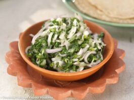 મૂળા ડુંગળી નું કચુંબર બનાવવાની રીત - Mula dungri nu kachumber banavani rit