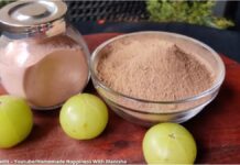 આમળાનો પાવડર બનાવવાની રીત - aamla no powder banavani rit - aamla no powder recipe in gujarati