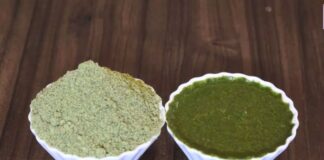 લીલી ચટણી નું પ્રિમિક્સ બનાવવાની રીત - Lili chutney nu premix banavani rit - Lili chutney nu premix recipe in gujarati