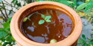 પાનકમ બનાવવાની રીત - Panakam banavani rit - Panakam recipe in gujarati