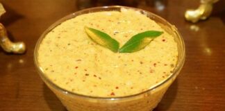 સીંગદાણા ની ચટણી બનાવવાની રીત - singdana ni chutney banavani rit - singdana ni chutney recipe in gujarati