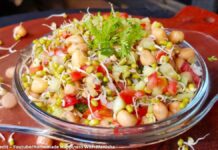 ફણગાવેલ મગ અને સીંગદાણા નો સલાડ બનાવવાની રીત - Fangavel mag ane Singdana no salad banavani rit