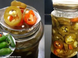 જેલોપિનો નું અથાણું બનાવવાની રીત - Jalapeno nu thanau banavani rit - Jalapeno Pickle recipe in gujarati