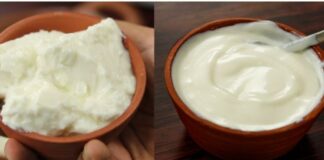 દહીં અને ચાર્ટ માટેનું મીઠું દહીં બનાવવાની રીત | Dahi ane chat mate nu mithu dahi banavani rit દહીં અને ચાર્ટ માટેનું મીઠું દહીં બનાવવાની રીત - Dahi ane chat mate nu mithu dahi banavani rit