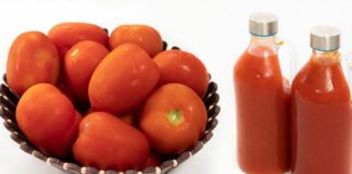 ટામેટા ની પ્યુરી - ટામેટા ની પ્યુરી બનાવવાની રીત - Tameta ni Puree banavani rit - Tameta Puree recipe in gujarati