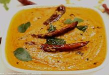 ચણા દાળ ની ચટણી બનાવવાની રીત | Chana daal ni chatni banavani rit ચણા દાળ ની ચટણી - ચણા દાળ ની ચટણી બનાવવાની રીત - Chana daal ni chatni banavani rit