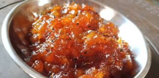 સફરજન ની ખાટી મીઠી ચટણી - Safarjan ni khati mithi chatni - સફરજન ની ખાટી મીઠી ચટણી બનાવવાની રીત - Safarjan ni khati mithi chatni banavani rit