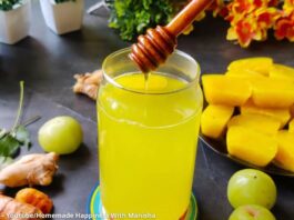 Amla shots - આમળા શોર્ટ્સ