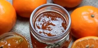 Orange jam - ઓરેન્જ જામ