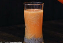 Shakkarteti faluda - સક્કરટેટી ફાલુદા