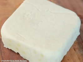 Paneer - પનીર