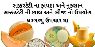 સક્કરટેટી ના ફાયદા - સક્કરટેટી ના નુકસાન - સક્કરટેટી ની છાલ અને બીજ નો ઉપયોગ ઘરગથ્થું ઉપચાર મા - sakar teti na fayda - Muskmelon benefits in Gujarati
