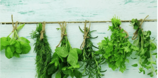 Herbs for immunity