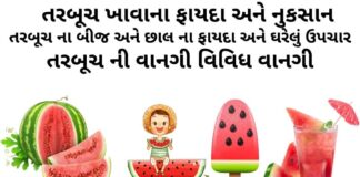 તરબૂચ ના ફાયદા - તરબૂચ ખાવાના ફાયદા અને નુકસાન - તરબૂચ ના બીજ અને છાલ ના ફાયદા - તરબૂચ ની વાનગી - Watermelon benefits in Gujarati - Tarbuch na fayda