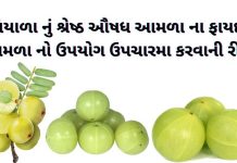 આમળા ખાવાના ફાયદા - આમળા નો ઉપયોગ - આમળા ના ફાયદા - amda na fayda - આમળા વિશે માહિતી - amda no upyog