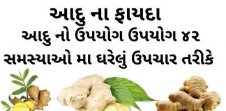 આદુ ના ફાયદા - આદુ નો ઉપયોગ - આદુ ખાવાના ફાયદા - aadu na fayda - Ginger Benefits in Gujarati - Aadu na Fayda in Gujarati