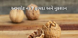 Akhrot na Fayda in Gujarati -- અખરોટ ના ફાયદા - Akhrot benefits in Gujarati - Akhrot nukshan in Gujarati