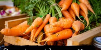 Gajar na fayda in Gujarati - Gajar Health Benefits in Gujarati - Gajar Benefits in Gujarati - Gajar na fayda - ગાજર ના ફાયદા