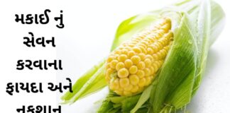 Makai na Fayda in Gujarati - મકાઈ ના ફાયદા - makai health benefits in Gujarati - Corn health benefits in Gujarati