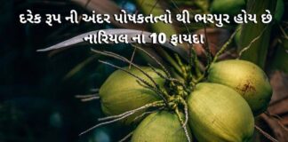 Nariyel na Fayda in Gujarati - નારીયેલ ના ફાયદા - coconut Benefits in Gujarati - નારીયલ ના ફાયદા - Nariyal na fayda - coconut milk