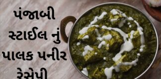 Palak Paneer Recipe in Gujarati - Palak Paneer Recipe - Panjabi style Palak Paneer Recipe - પાલક પનીર રેસીપી