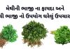 મેથી ના ફાયદા - મેથીની ભાજી ના ફાયદા - મેથી ભાજી નો ઉપયોગ - methi na fayda in gujarati - methi na fayda gujarati ma - methi no upyog - methi bhaji na fayda gujarati ma